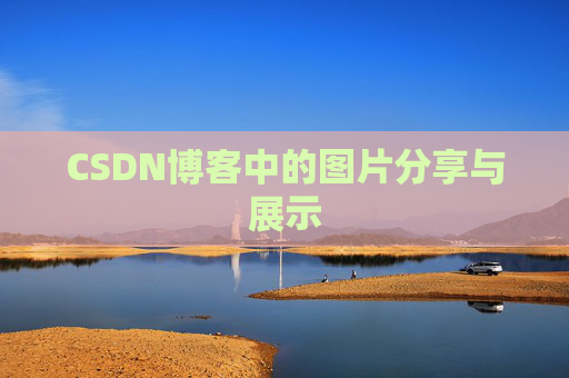 CSDN博客中的图片分享与展示